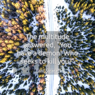 Picture 05 - John 7:20 WEB - The multitude answered, 