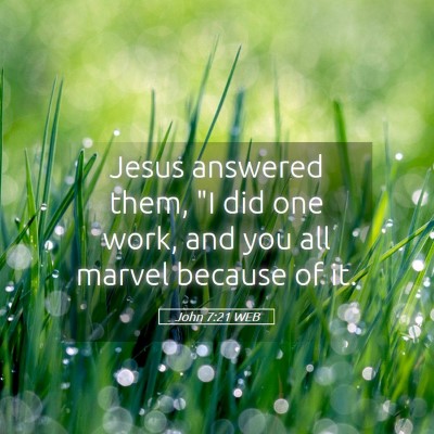 Picture 05 - John 7:21 WEB - Jesus answered them, 
