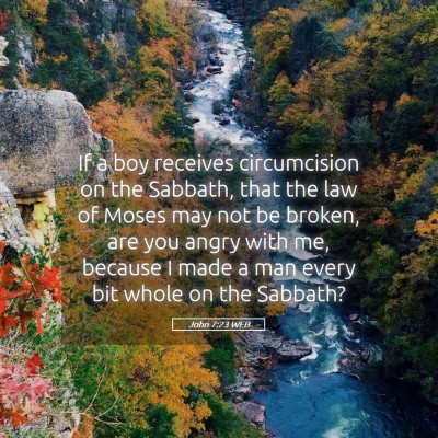 Picture 05 - John 7:23 WEB - If a boy receives circumcision on the Sabbath, - Bible Verse Picture