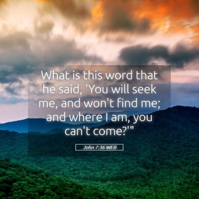 Picture 05 - John 7:36 WEB - What is this word that he said, 'You will seek - Bible Verse Picture