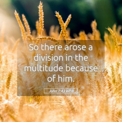 Picture 05 - John 7:43 WEB - So there arose a division in the multitude - Bible Verse Picture