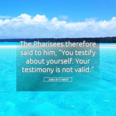 Picture 05 - John 8:13 WEB - The Pharisees therefore said to him, 