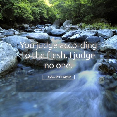 Picture 05 - John 8:15 WEB - You judge according to the flesh. I judge no - Bible Verse Picture