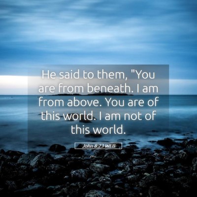 Picture 05 - John 8:23 WEB - He said to them, 