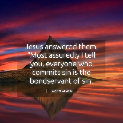 Picture 05 - John 8:34 WEB - Jesus answered them, 