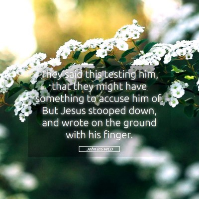 Picture 05 - John 8:6 WEB - They said this testing him, that they might have - Bible Verse Picture