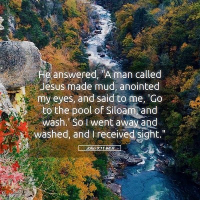 Picture 05 - John 9:11 WEB - He answered, 