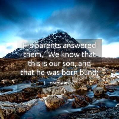 Picture 05 - John 9:20 WEB - His parents answered them, 