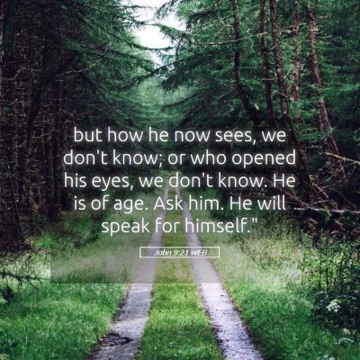 Picture 05 - John 9:21 WEB - but how he now sees, we don't know; or who opened - Bible Verse Picture