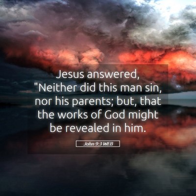 Picture 05 - John 9:3 WEB - Jesus answered, 