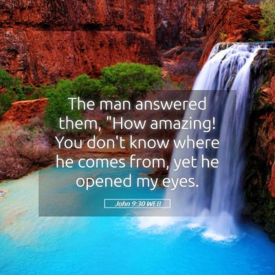 Picture 05 - John 9:30 WEB - The man answered them, 
