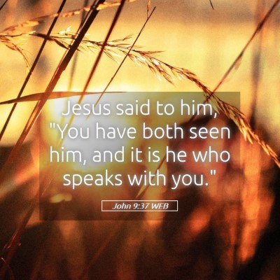 Picture 05 - John 9:37 WEB - Jesus said to him, 