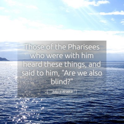 Picture 05 - John 9:40 WEB - Those of the Pharisees who were with him heard - Bible Verse Picture