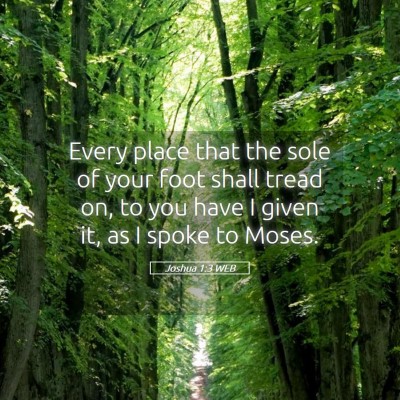 Picture 05 - Joshua 1:3 WEB - Every place that the sole of your foot shall - Bible Verse Picture