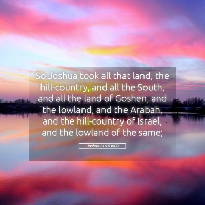 Picture 05 - Joshua 11:16 WEB - So Joshua took all that land, the hill-country, - Bible Verse Picture