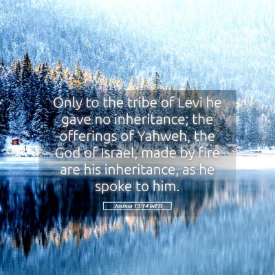 Picture 05 - Joshua 13:14 WEB - Only to the tribe of Levi he gave no inheritance; - Bible Verse Picture