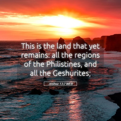 Picture 05 - Joshua 13:2 WEB - This is the land that yet remains: all the - Bible Verse Picture