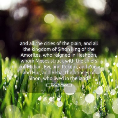 Picture 05 - Joshua 13:21 WEB - and all the cities of the plain, and all the - Bible Verse Picture