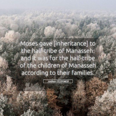 Picture 05 - Joshua 13:29 WEB - Moses gave [inheritance] to the half-tribe of - Bible Verse Picture