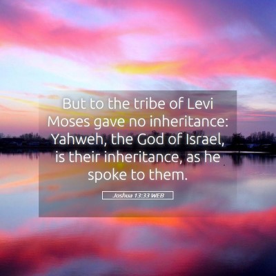Picture 05 - Joshua 13:33 WEB - But to the tribe of Levi Moses gave no - Bible Verse Picture