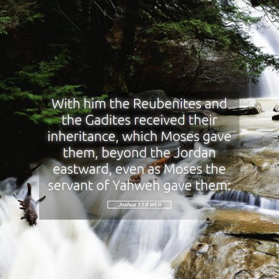 Picture 05 - Joshua 13:8 WEB - With him the Reubenites and the Gadites received - Bible Verse Picture