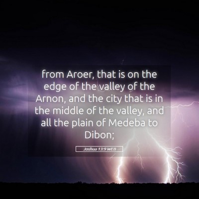 Picture 05 - Joshua 13:9 WEB - from Aroer, that is on the edge of the valley of - Bible Verse Picture