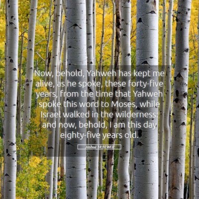Picture 05 - Joshua 14:10 WEB - Now, behold, Yahweh has kept me alive, as he - Bible Verse Picture