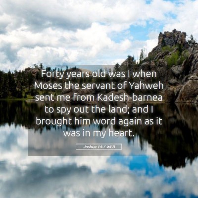 Picture 05 - Joshua 14:7 WEB - Forty years old was I when Moses the servant of - Bible Verse Picture