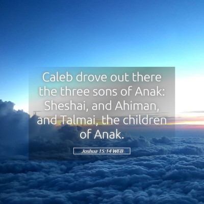 Picture 05 - Joshua 15:14 WEB - Caleb drove out there the three sons of Anak: - Bible Verse Picture
