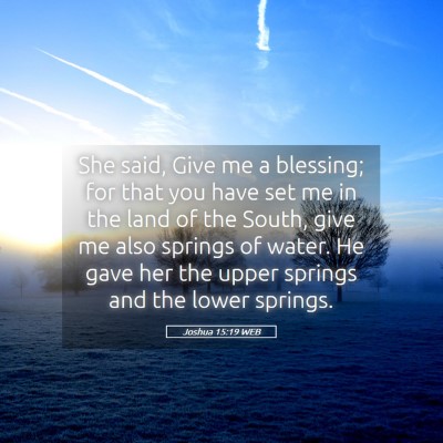 Picture 05 - Joshua 15:19 WEB - She said, Give me a blessing; for that you have - Bible Verse Picture