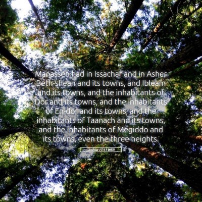 Picture 05 - Joshua 17:11 WEB - Manasseh had in Issachar and in Asher Beth-shean - Bible Verse Picture