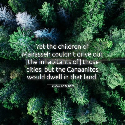 Picture 05 - Joshua 17:12 WEB - Yet the children of Manasseh couldn't drive out - Bible Verse Picture
