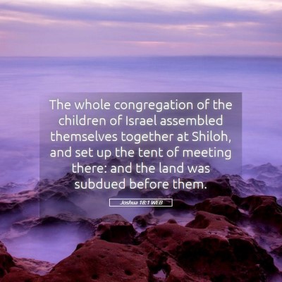 Picture 05 - Joshua 18:1 WEB - The whole congregation of the children of Israel - Bible Verse Picture