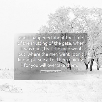 Picture 05 - Joshua 2:5 WEB - and it happened about the time of the shutting of - Bible Verse Picture