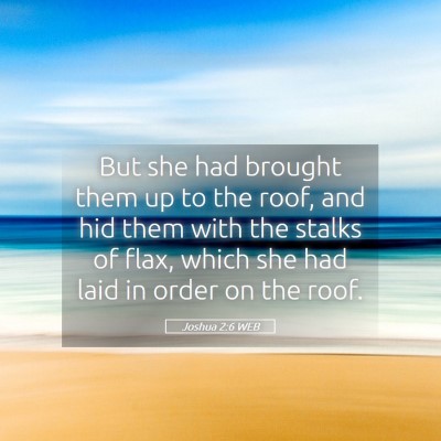Picture 05 - Joshua 2:6 WEB - But she had brought them up to the roof, and hid - Bible Verse Picture