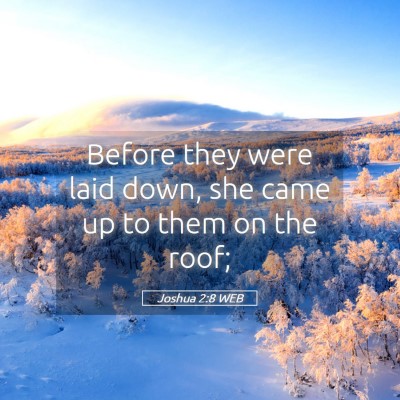 Picture 05 - Joshua 2:8 WEB - Before they were laid down, she came up to them - Bible Verse Picture