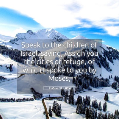 Picture 05 - Joshua 20:2 WEB - Speak to the children of Israel, saying, Assign - Bible Verse Picture