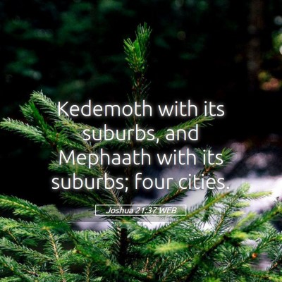 Picture 05 - Joshua 21:37 WEB - Kedemoth with its suburbs, and Mephaath with its - Bible Verse Picture