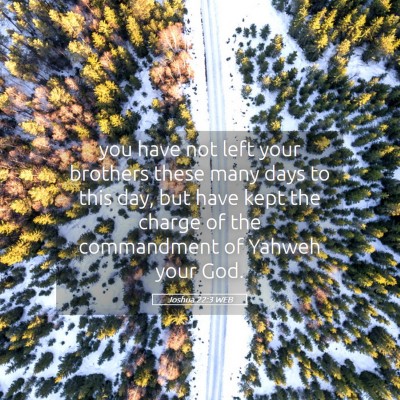 Picture 05 - Joshua 22:3 WEB - you have not left your brothers these many days - Bible Verse Picture