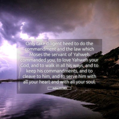 Picture 05 - Joshua 22:5 WEB - Only take diligent heed to do the commandment and - Bible Verse Picture