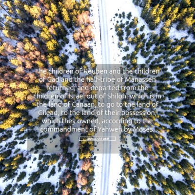Picture 05 - Joshua 22:9 WEB - The children of Reuben and the children of Gad - Bible Verse Picture