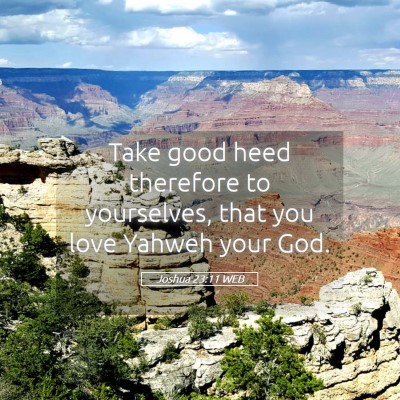 Picture 05 - Joshua 23:11 WEB - Take good heed therefore to yourselves, that you - Bible Verse Picture
