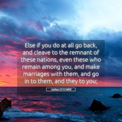 Picture 05 - Joshua 23:12 WEB - Else if you do at all go back, and cleave to the - Bible Verse Picture