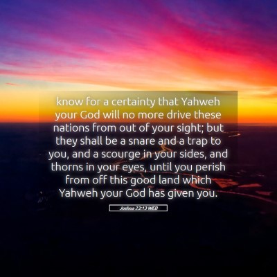 Picture 05 - Joshua 23:13 WEB - know for a certainty that Yahweh your God will no - Bible Verse Picture