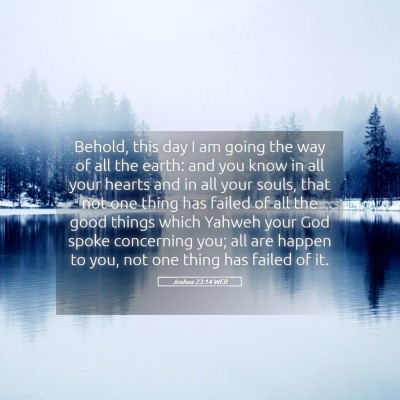 Picture 05 - Joshua 23:14 WEB - Behold, this day I am going the way of all the - Bible Verse Picture