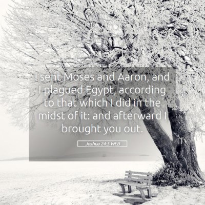 Picture 05 - Joshua 24:5 WEB - I sent Moses and Aaron, and I plagued Egypt, - Bible Verse Picture