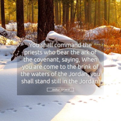 Picture 05 - Joshua 3:8 WEB - You shall command the priests who bear the ark of - Bible Verse Picture