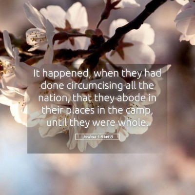 Picture 05 - Joshua 5:8 WEB - It happened, when they had done circumcising all - Bible Verse Picture