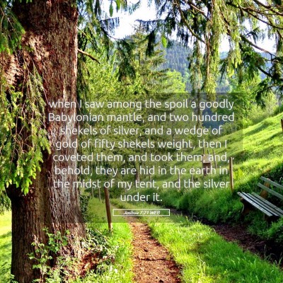 Picture 05 - Joshua 7:21 WEB - when I saw among the spoil a goodly Babylonian - Bible Verse Picture