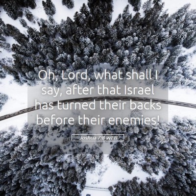Picture 05 - Joshua 7:8 WEB - Oh, Lord, what shall I say, after that Israel has - Bible Verse Picture
